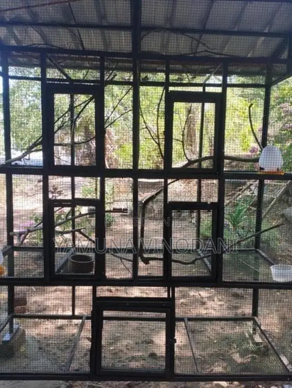 කුඩු 2ක් සහ පින්චස්කුරුල්ලන්.33ක්