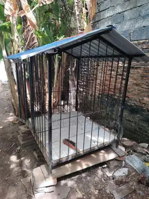 Dog Cage