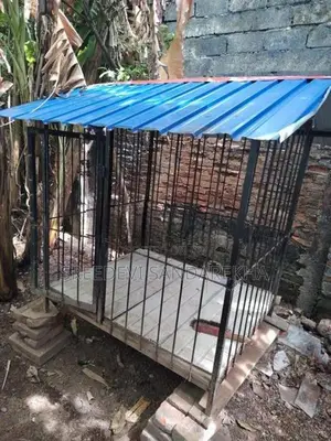 Dog Cage