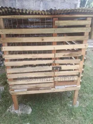Dog Cage