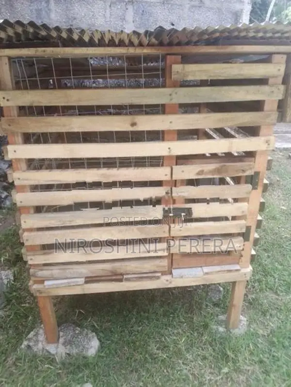 Dog Cage