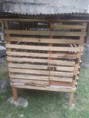 Dog Cage