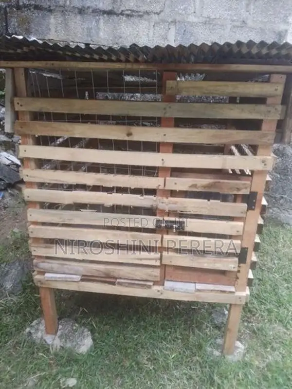 Dog Cage