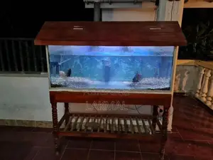 Fish Tank With Accessories
