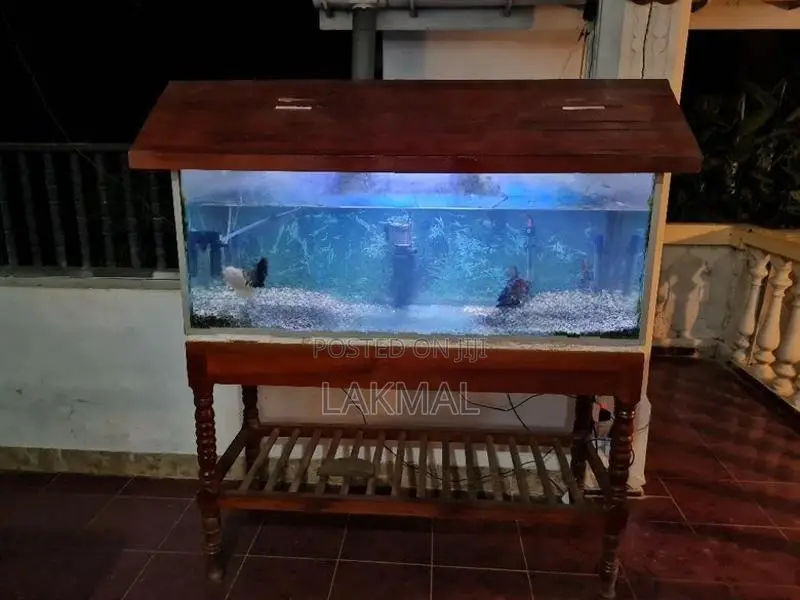 Fish Tank With Accessories