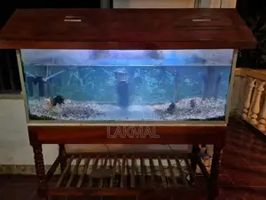 Fish Tank With Accessories