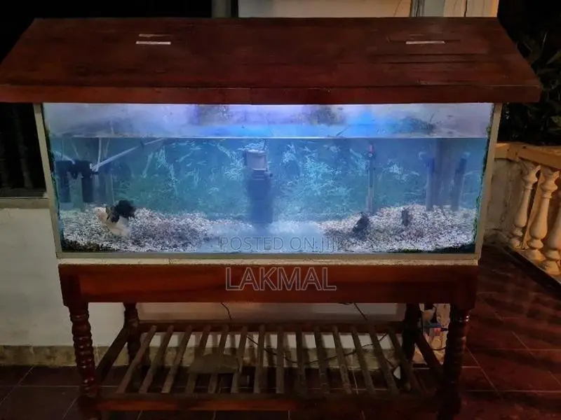 Fish Tank With Accessories