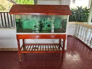Fish Tank With Accessories