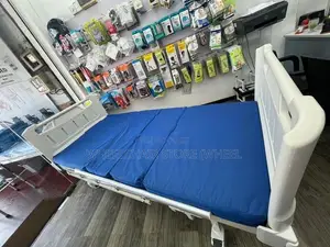 Two Function Manual Bed + Mattres