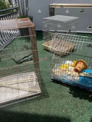 4 Bird Cages