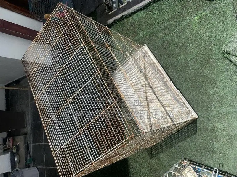 4 Bird Cages