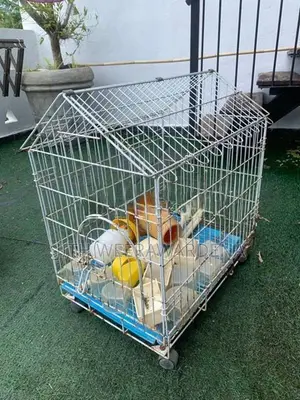 4 Bird Cages