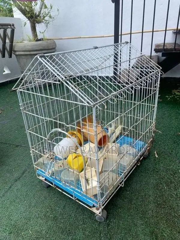 4 Bird Cages