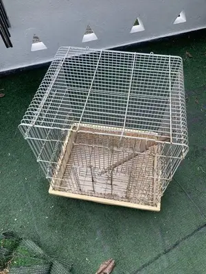 4 Bird Cages