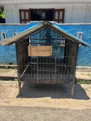 Dog Cage