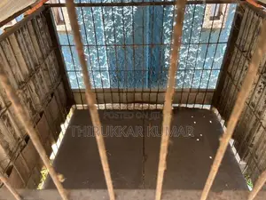 Dog Cage