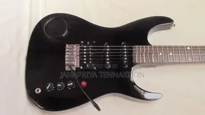 Guitar " Meastro Electric