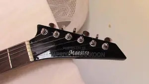Guitar " Meastro Electric
