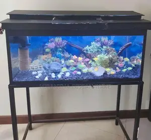 Fish Tank With All Accessories