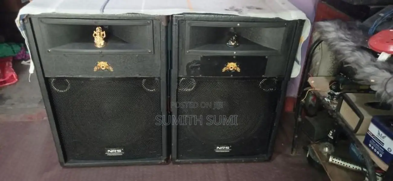 NRS 15 speaker