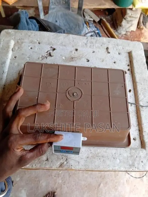 බිත්තර රක්වන මැශින්