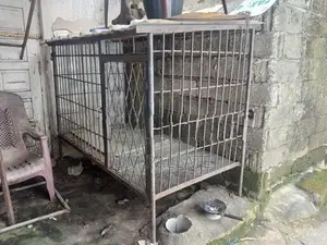 Dog Cage