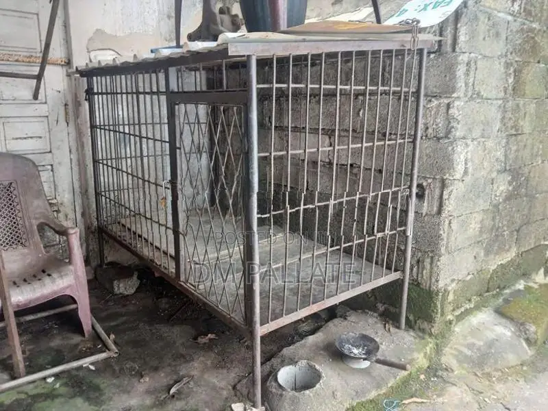 Dog Cage