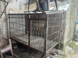 Dog Cage