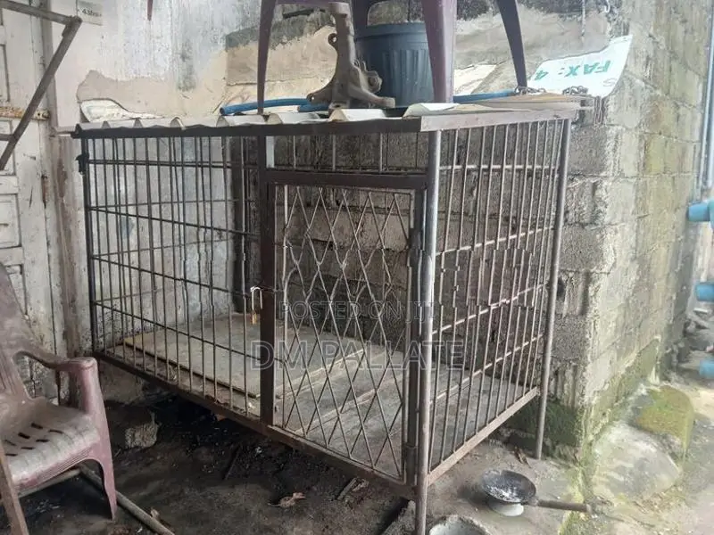 Dog Cage