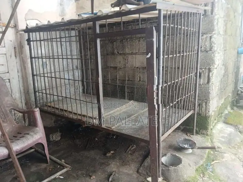 Dog Cage