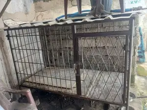 Dog Cage