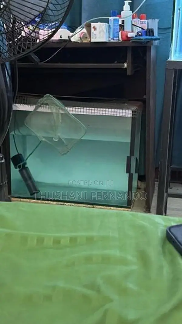 4 Fish Tanks
