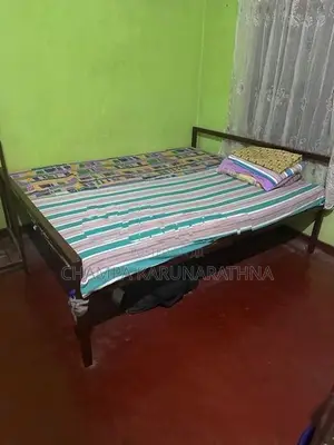 Steel (60 x 75 inches) Bed with Mattress