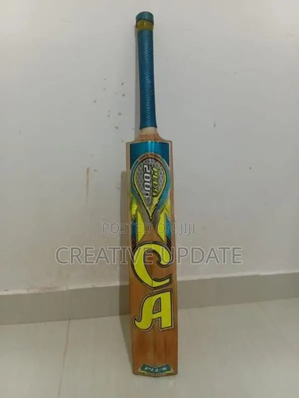 Cricket Set