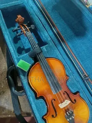 Violin