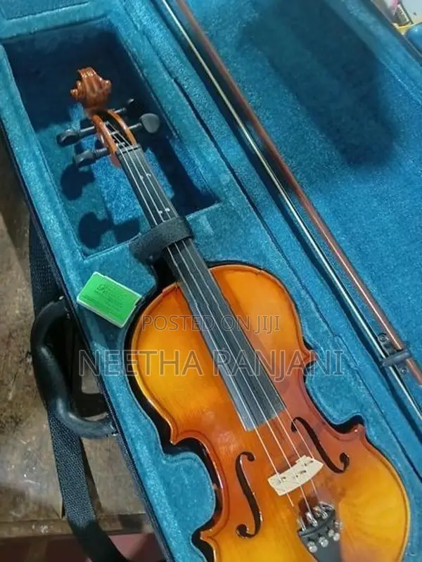 Violin