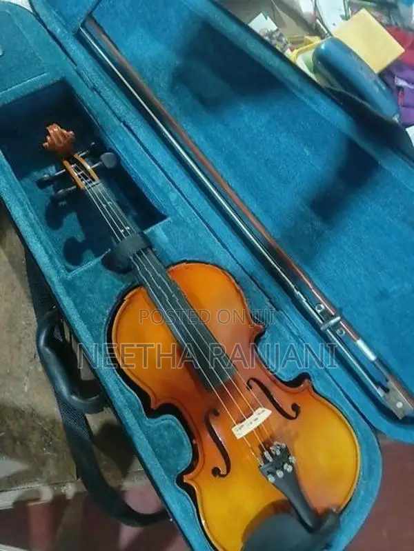 Violin