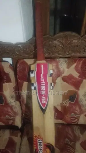 Cricket Bat