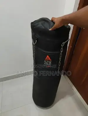 AME Punching Bag 30Kg