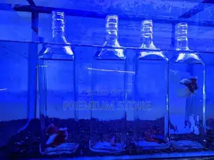 Fighter Fishes