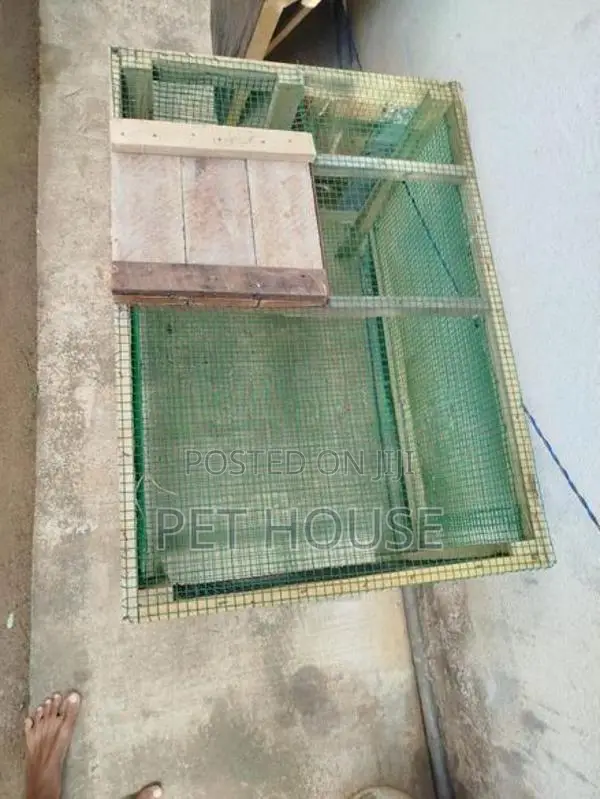 Rabbit Cage.