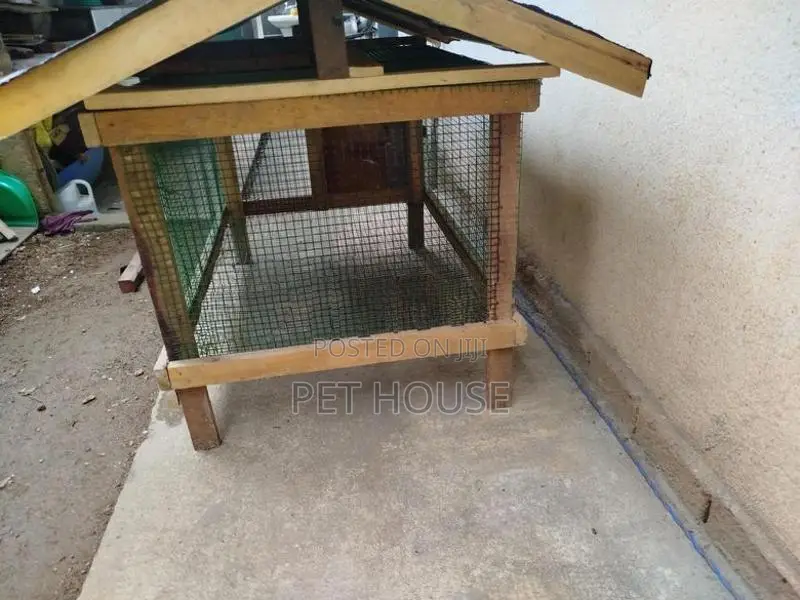 Rabbit Cage.