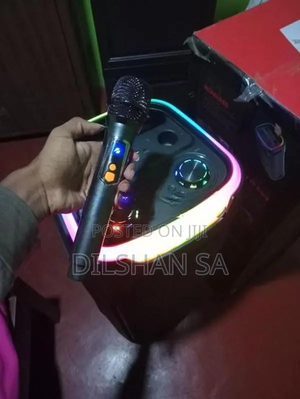 Party Box With Mic