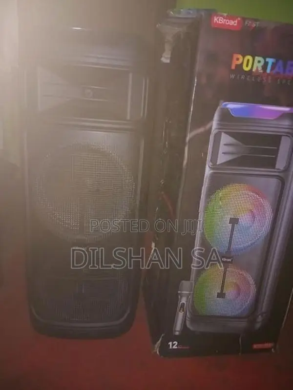 Party Box With Mic