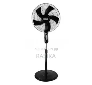Standing Fan