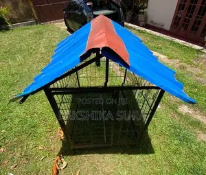 Dog Cage