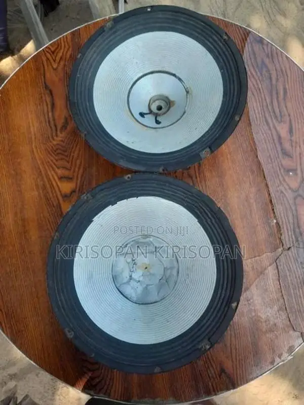 Speaker
