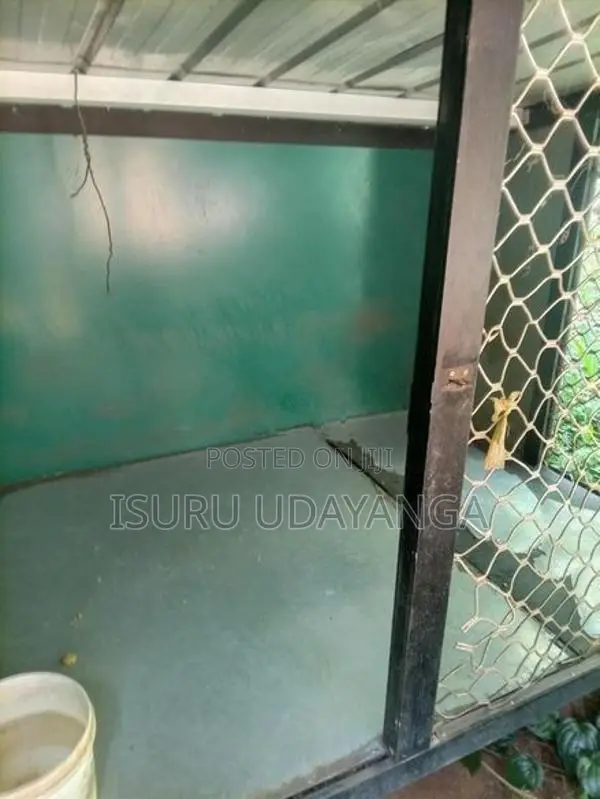 Aluminium Kuduwak 6*5*5 Hoda Thathwaye