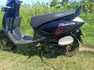 Hero Pleasure 2011