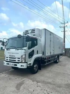 Isuzu Forward 20ft Freezer Lorry 2011